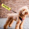 Reactive Not Aggressive Do Not Pet Dog Leash Sleeve Reactive