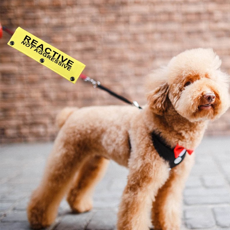 Reactive Not Aggressive Do Not Pet Dog Leash Sleeve Reactive