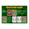 kidsnado cabo Card Game