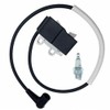 Ignition Coil With Spark Plug BM6A For Echo Shindaiwa Blower