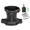 Petmolico No Pull Dog Harness Set with Leash Attachment Easy
