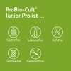 Syxyl ProBio-Cult Junior Pro Dietary Supplement with Lactic Acid Bacteria,