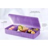 Tupperware NEW Tupperware Lunch N Things Divided Hinged Container Crafts