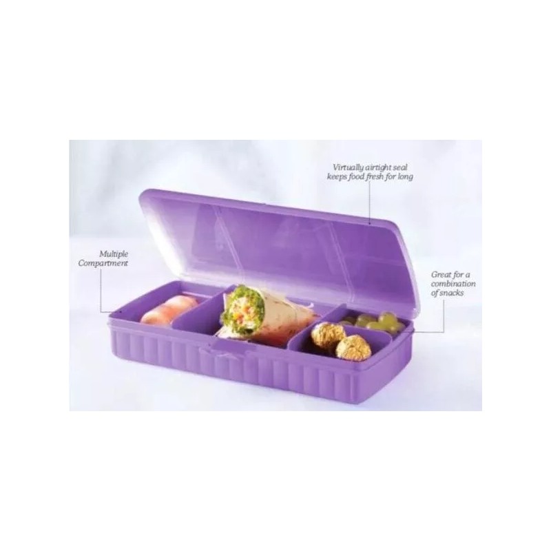 Tupperware NEW Tupperware Lunch N Things Divided Hinged Container Crafts