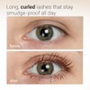 HEIMISH Dailism Smudge Stop Mascara, Curling & Lengthening, Long-lasting, Smudge-proof,