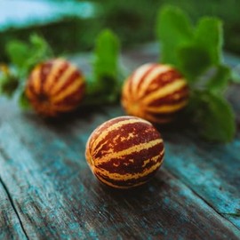 Rich Sweetness 132 Melon - 25 Seeds - Unique Striped Melon Variety, Sweet White Flesh Tastes Like Cantaloupe, Non-GMO Heirloom Melon Seeds for Planting in The Home Garden, Thresh Seed Company