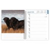 BrownTrout, Black Labrador Retrievers 2025 Planner