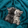 Utopia Bedding Utopia Bedding Fleece Blanket King Size Turquoise 300GSM