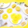 Gulfmew 100 Pack Lemon Wedge Stretch Wraps Covers Lemon Nets