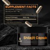 Auric Shilajit/Shilajeet Energy 60 Capsules | Lab Tested Pure Shilajit