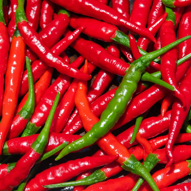 The Old Farmer's Almanac Organic Cayenne Pepper Seeds (Long Slim)