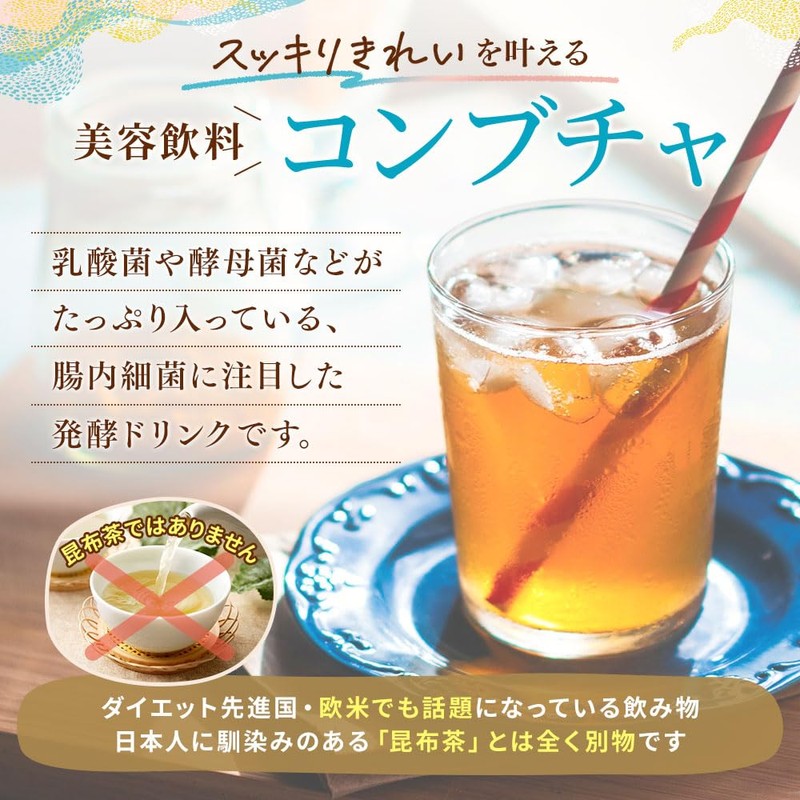 仙台勝山館 コンブチャ 4種のフルーツ味セット（ミックスベリー、ザクロ、グレープフルーツ、オリジナル　各3本） 4g×12袋 発酵紅茶 乳酸菌 置き換えダイエット