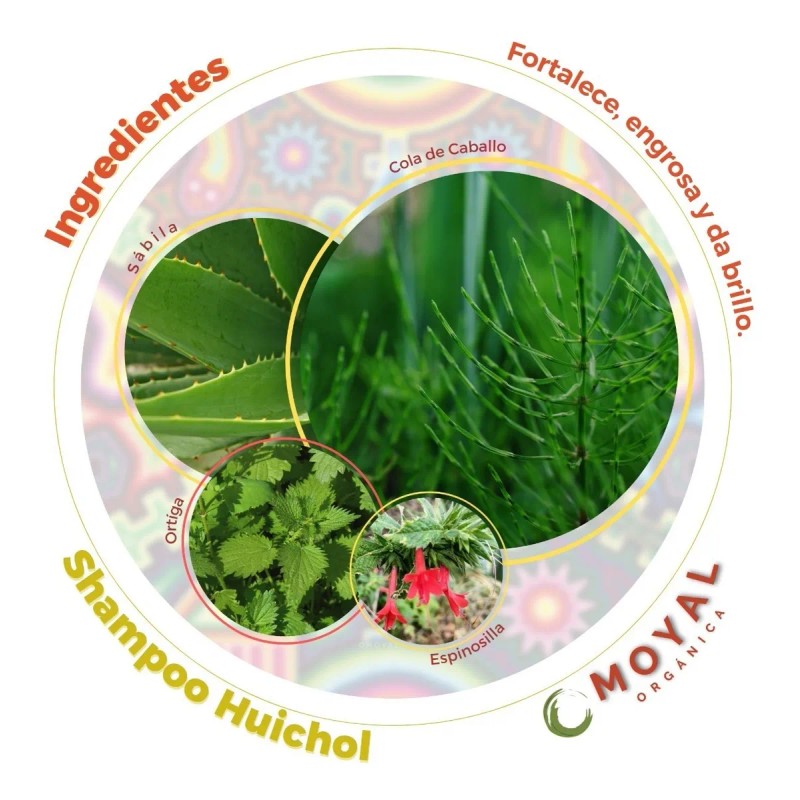 Shampoo Huichol Cola De Caballo 400 Ml X12 Piezas /fortalece