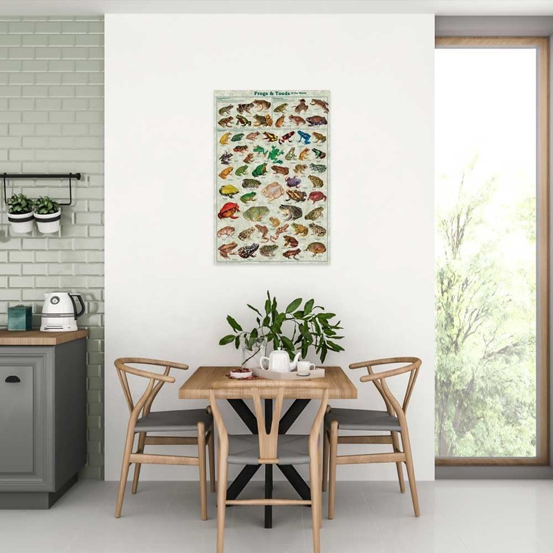 Frogs & Toads of the World Educational Poster 24 x