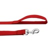 Strong Nylon Dog Leash, 4FT/ 5 FT/ 6FT Dog Leashes