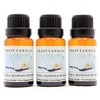 Crazy Candles Vanilla Mandarin Bourbon (Made in USA) 3 Bottles