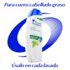 VICHY Shampoo Anti-Caspa Seca DS Dercos 200ml Aminexil Clinical Sérum