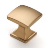 Amerdeco 10 Pack 1-1/3 Inch Champagne Bronze Cabinet Knobs Gold