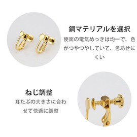 ALLVD Earring Converter 2 Colors Set (4 Pieces) Screw Type No Hole Earrings Gold Silver 2 Types of Earrings Parts for Women