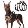 PUPTECK Escape Proof Dog Harness with Padded Handle, No Pull