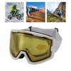 Anti Fog Ski Goggles UV Protection Adjustable Men Women Adult