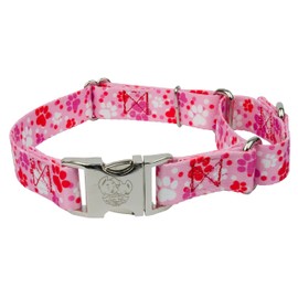 Country Brook Petz - Puppy Love Martingale Dog Collar with Premium Buckle - Affection Collection with 3 Designs You'll Adore (5/8 Inch, Extra Small)