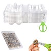 QIUMING Quail Egg Boxes, 30 Grids, Quail Egg Boxes, Transparent