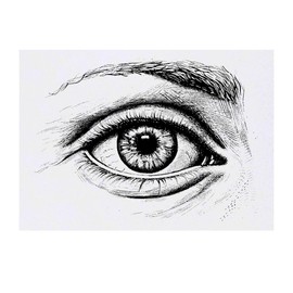 'Eye Sketch' Temporary Tattoo - Water Resistant, Skin-Safe, Non-Toxic Transfer (TO00070453)