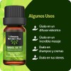ORIGINAL NATURE'S OILS Kit de 5 aceites Esenciales de Árbol
