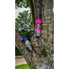 PROFINO Infuze Children's Leak-Proof Drinking Bottle with Strainer, 350 ml,