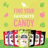Wiley Wallaby Licorice Candy Drops | Sourrageous and Fruitrageous Drops