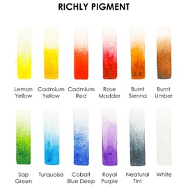 Grabie Pocket Watercolor Set of 12, Travel Watercolor Paint Set, Watercolor Paints, Art Supplies for Painting, Great Watercolor Set for Artists, Amateur Hobbyists and Painting (Essential Color)