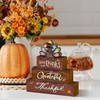 Smile Thanksgiving Decor Indoor Wooden Block Signs, Thankful Grateful Turkey