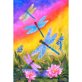 Toland Home Garden Dusk Dragonflies 28 x 40 Inch Decorative Colorful Spring Summer Dragonfly Flower House Flag