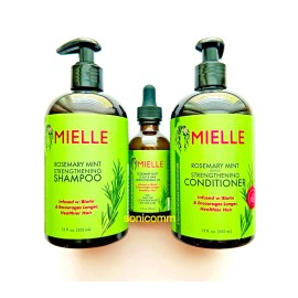 Mielle Organics Rosemary Mint Scalp & Hair Strengthening Oil-Shampoo-Co - Shampoo 12oz