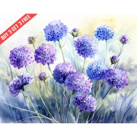 Scabiosa Pincushion Flower in a meadow Watercolor 8x10 Print