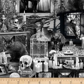 Timeless Treasures Wicked Fog Cats in Haunted Houses Fabric, Black