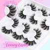Losha Lashes 6 Pairs Fluffy False Eyelashes for Women 20mm