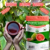 Hoja de guayaba Premium 100+ Leaves (2.1oz / 59.5g) 100%