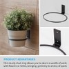 Plant Holder Ring 8 Inch Wall Mounted, 6 Pack Flower