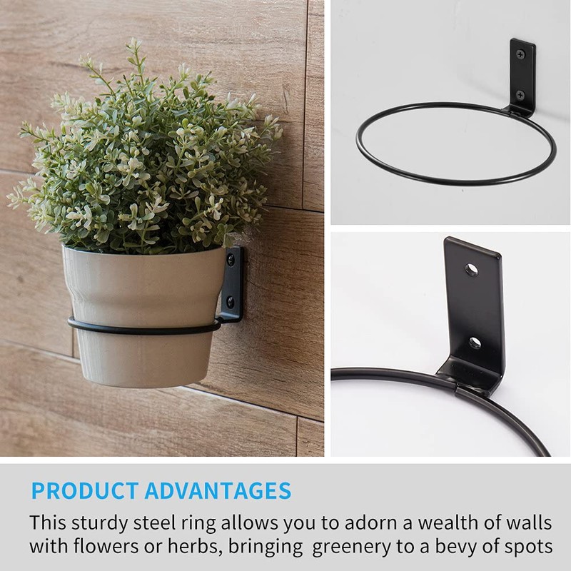 Plant Holder Ring 8 Inch Wall Mounted, 6 Pack Flower