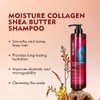 ECOLCHIPRO Collagen Shea Burtter Shampoo Herbal Extract Moisture Deep Repair