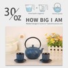 Tea Kettle, TOPTIER Japanese Cast Iron Teapot with Stainless Steel