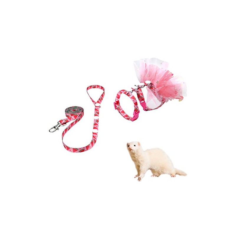 Ferret Harness and Leash Walking Vest Harness with Tutu Skirt