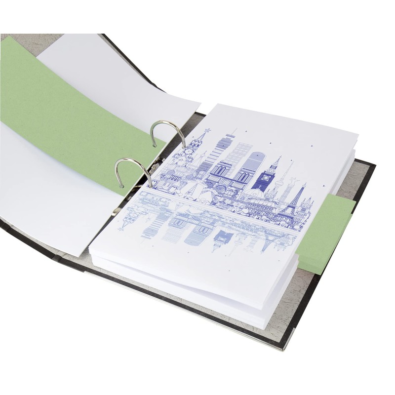 200 Dividers in Green, 24 x 10.5 cm, Punched, 180