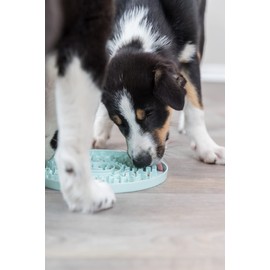 TRIXIE Junior Licking Mat 8 in, Pet Slow Feeder, For Dogs and Cats