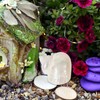 Toddmomy Hermit Crab Shells - 9cm Iridescent Turbo Seashells Pearl