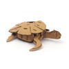 Graine Créative 3D Cardboard Model to Assemble - Turtle