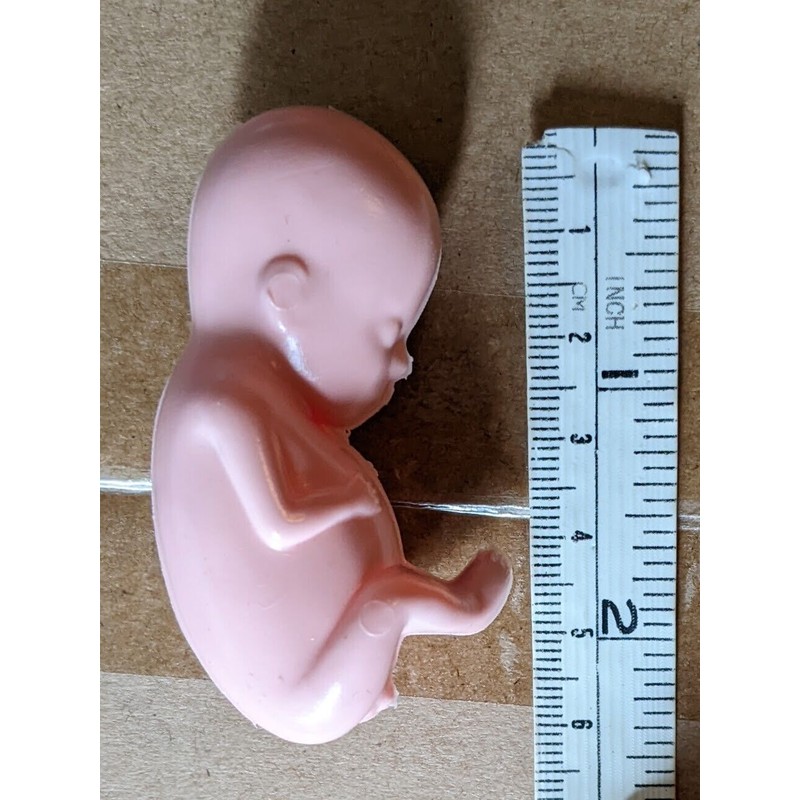 1 hard plastic model fetus, unusual medical fetal doll, abortion