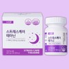 테아닌 스트레스 긴장완화에 도움 건강기능식품, 60정, 1개 L-Theanine Stress Relief